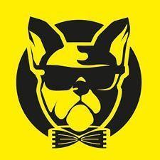 Black bull dog wearing sunglasses and bow tie on yellow background